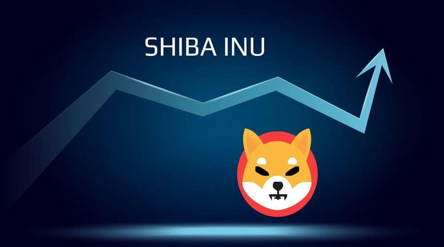 Shiba Inu