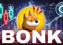 Bonk Coin